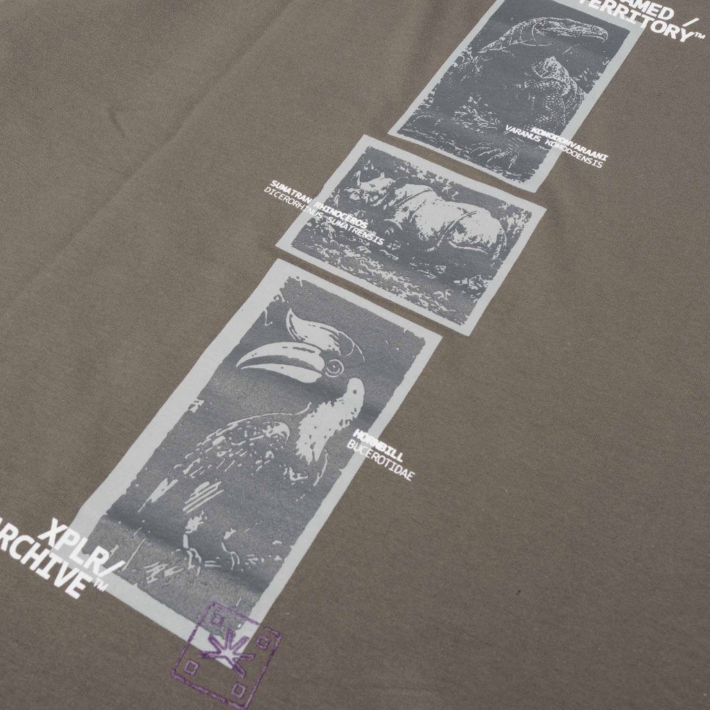 VALTA NATIVE SPECIES — XPLR/ARCHIVE TEE BROWN - Image 3